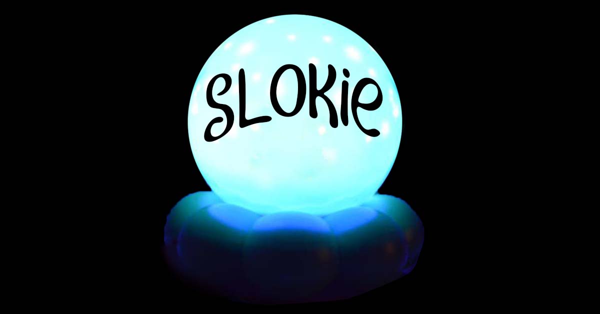 Image for Slokie LLC